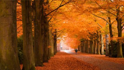 When Death is Beautiful